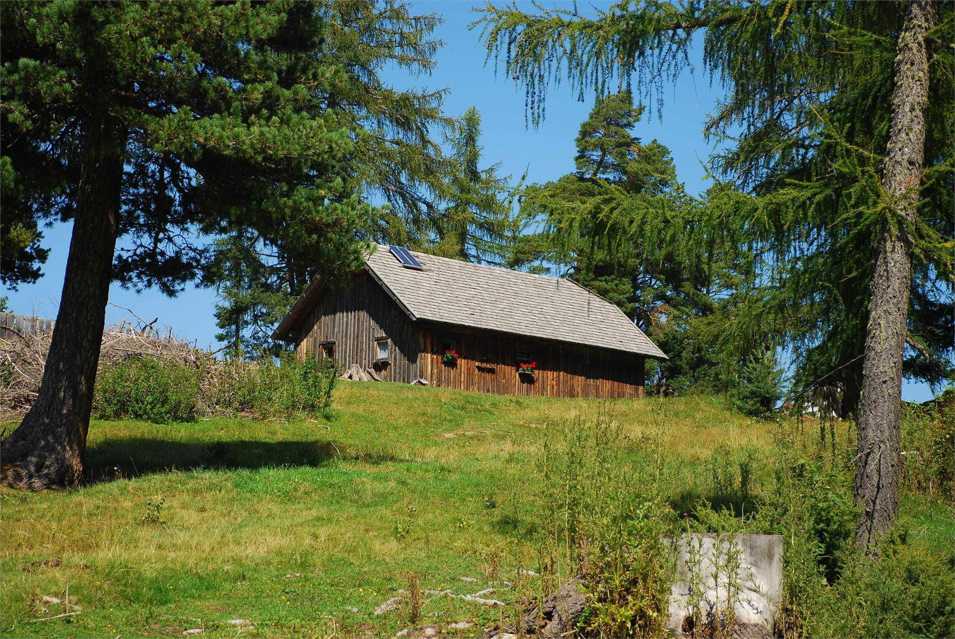 escursione alla Baita Häusler Sam  1 suedtirol.info