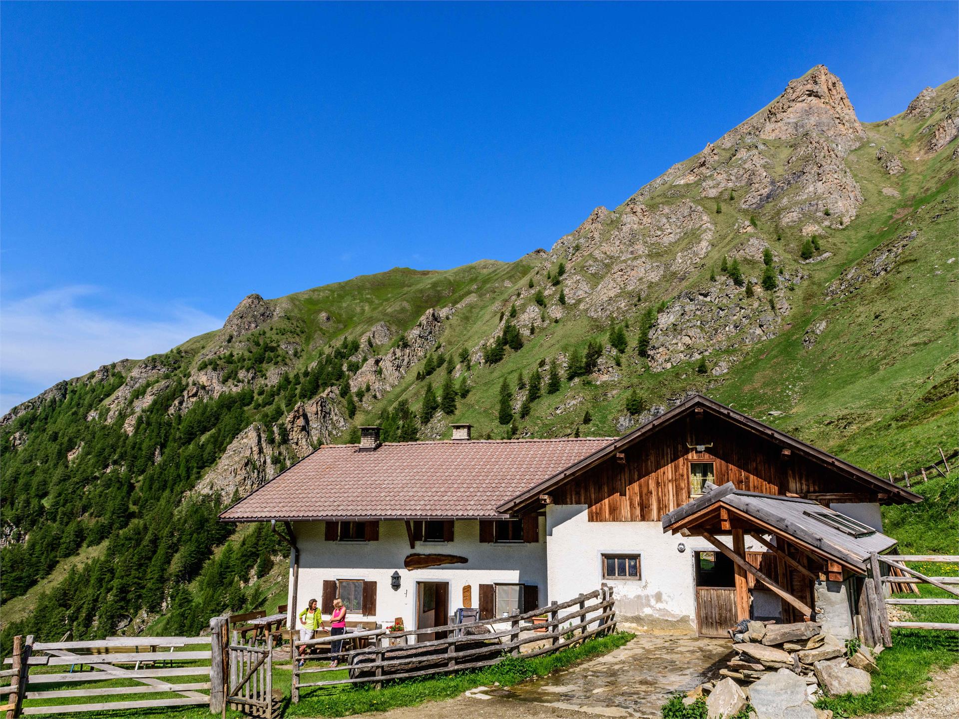 Wanderung zur Simile Mahd Alm Freienfeld 1 suedtirol.info