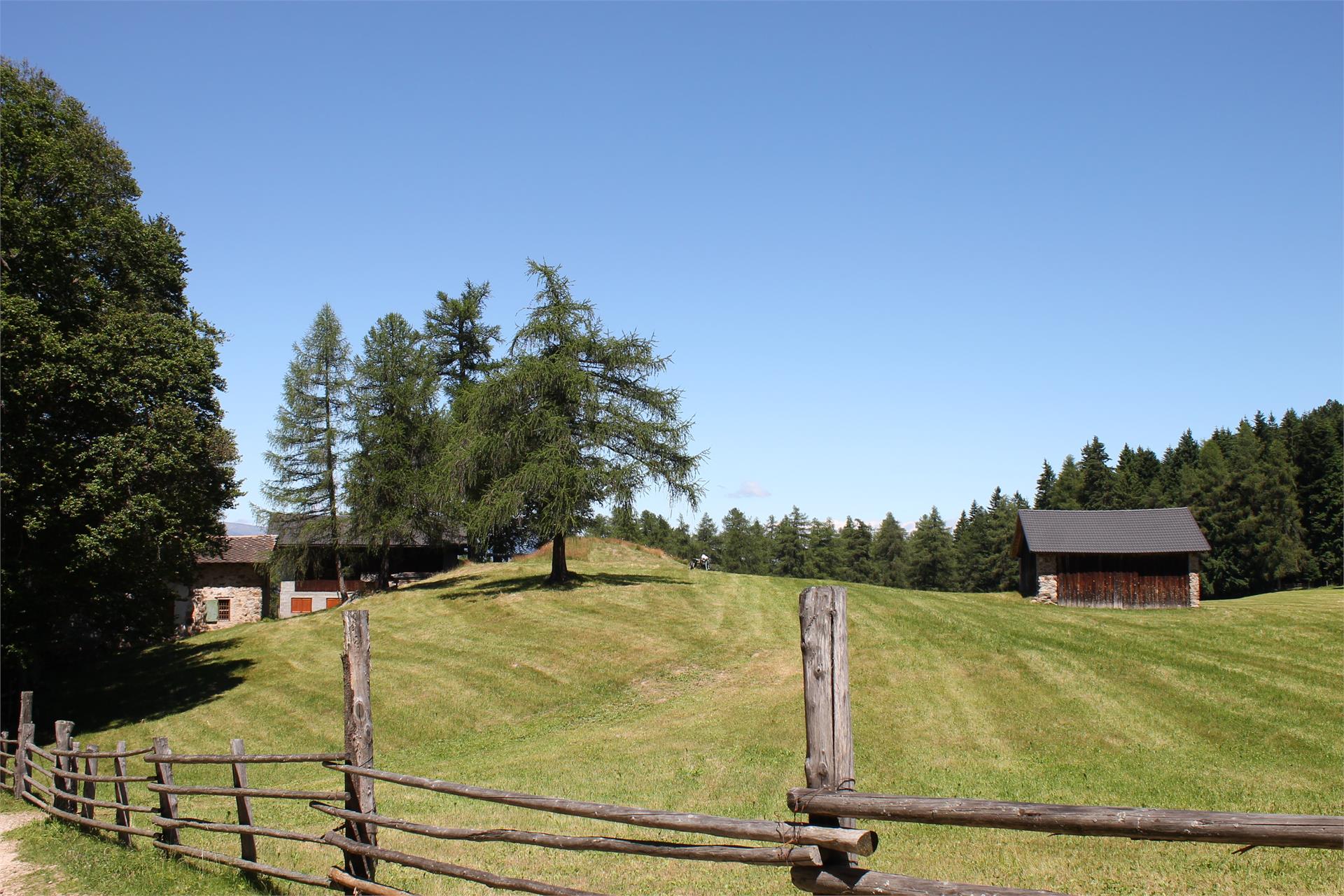 Wanderung zu drei Aussichtspunkten Bozen 3 suedtirol.info