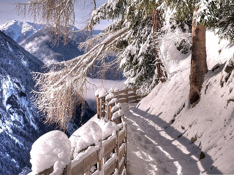 Winterwanderung - Kofler zwischen den Wänden Sand in Taufers 1 suedtirol.info