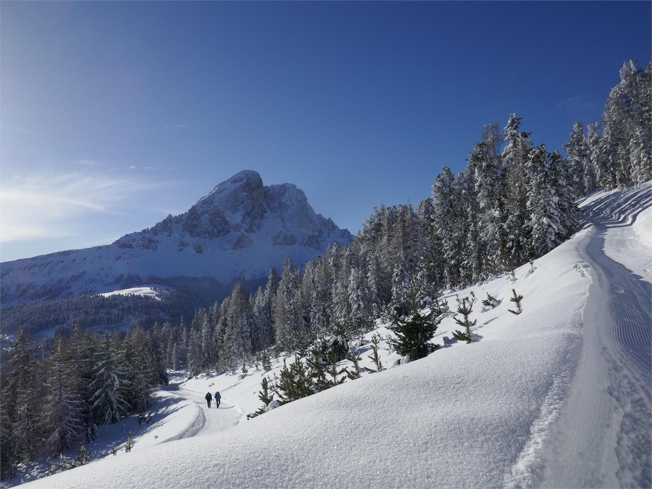 Winter hike to Maurerberg San Martin /San Martino 1 suedtirol.info