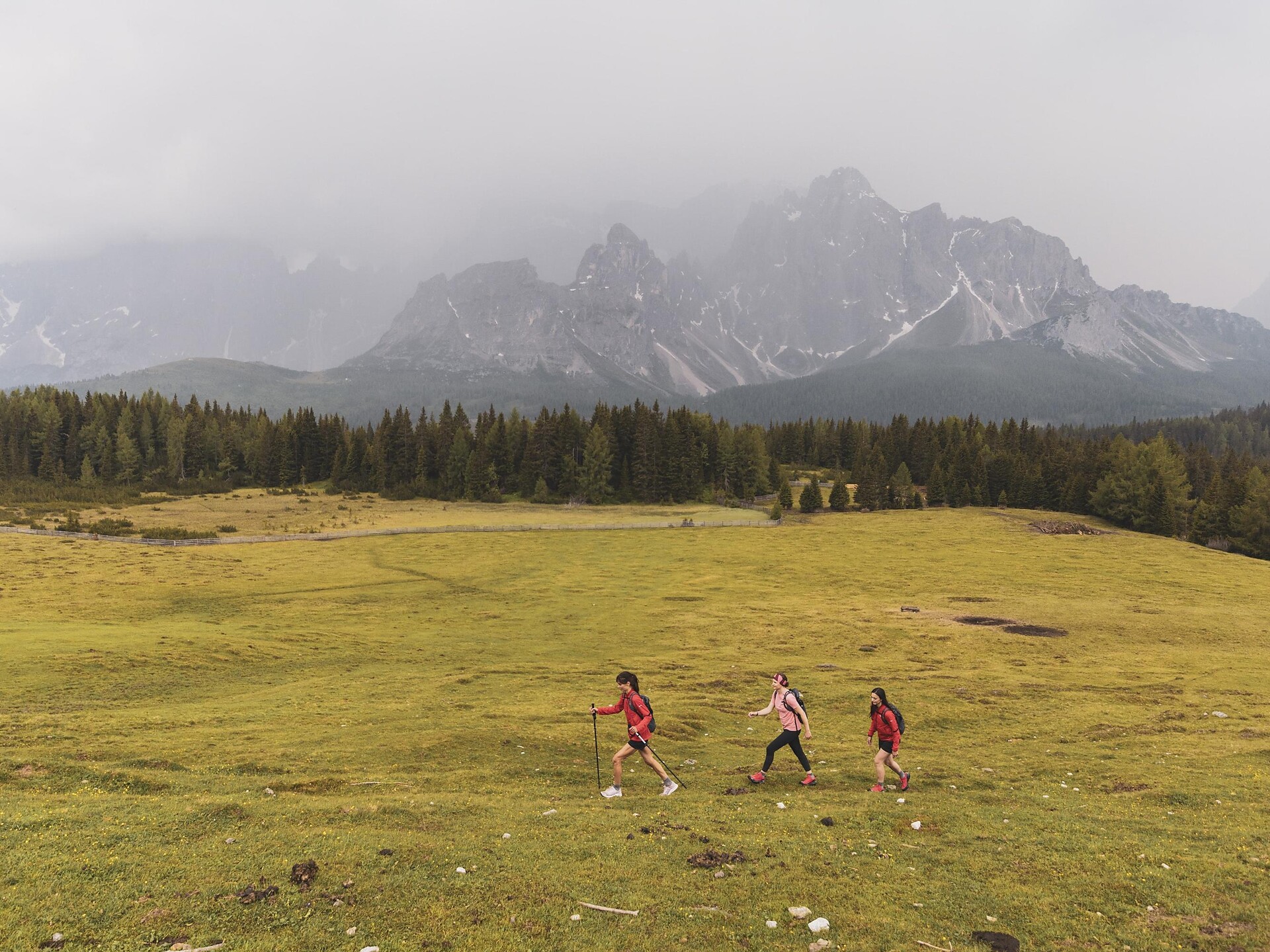 Escursione: Sul Monte Covolo - Regione dolomitica 3 Cime - #1 - suedtirol.info