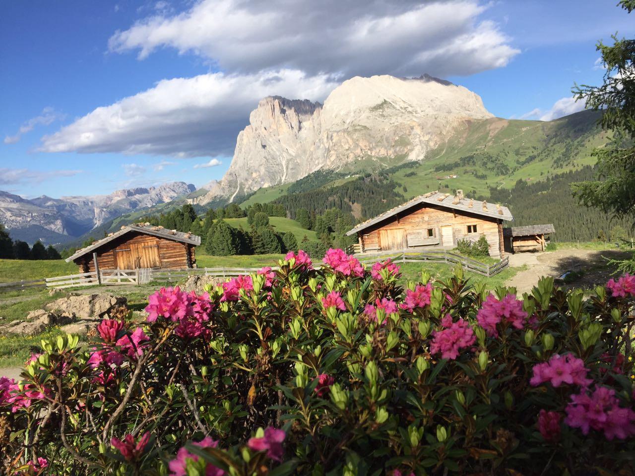 Escursione agli Orli di Fassa Castelrotto 1 suedtirol.info