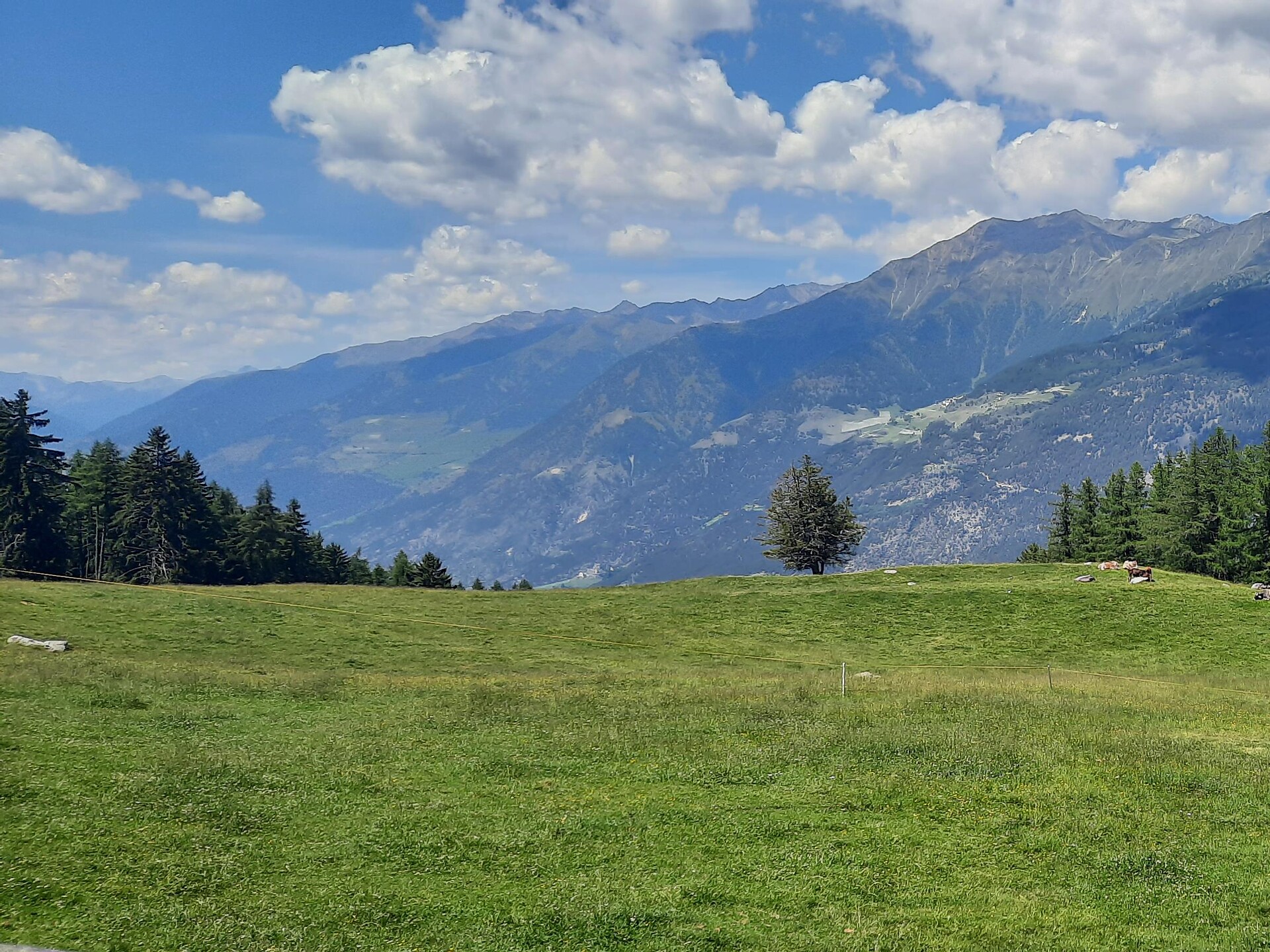 Freiberger Alm