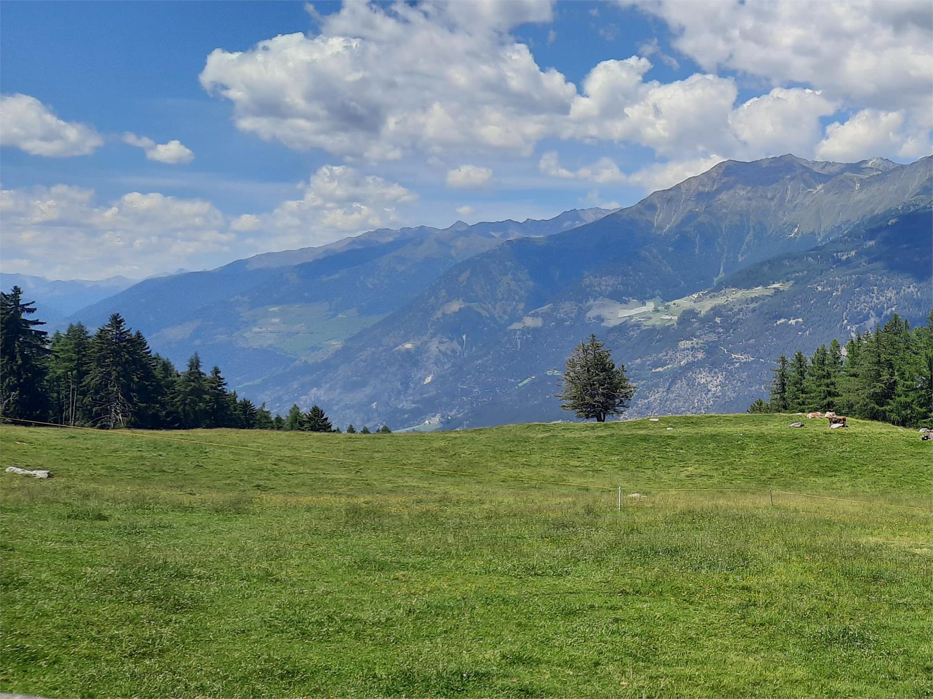 Wanderung zur Freiberger Alm Kastelbell-Tschars 2 suedtirol.info