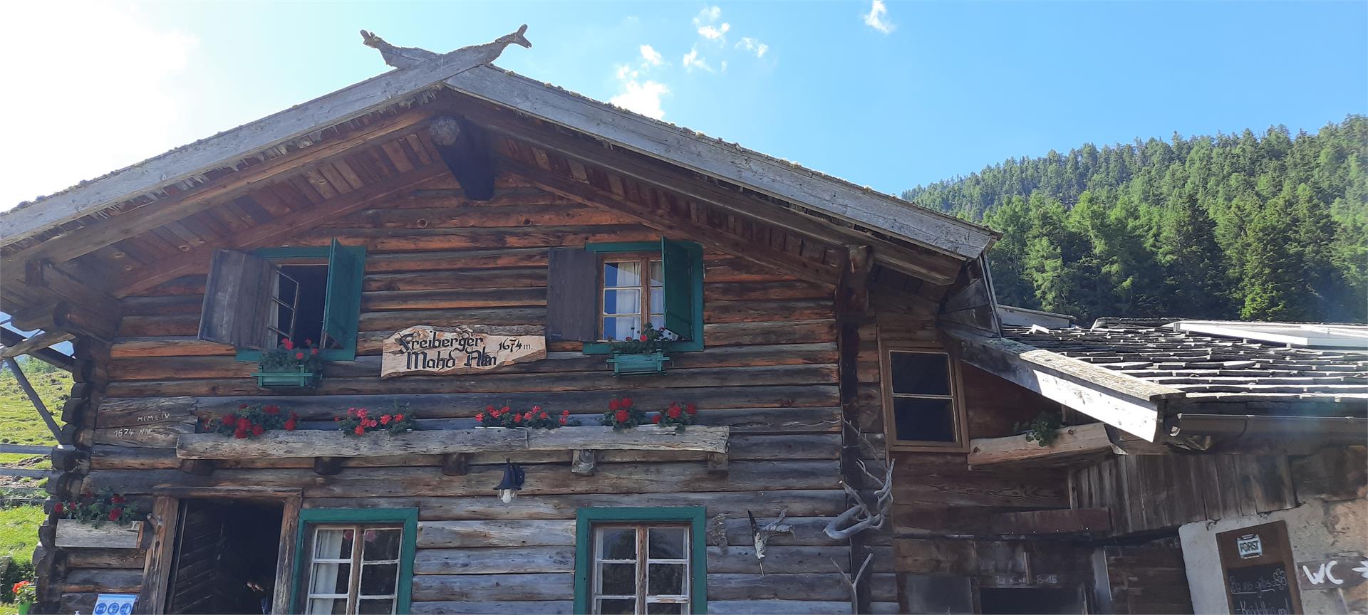 Wanderung zur Freiberger Alm Kastelbell-Tschars 1 suedtirol.info