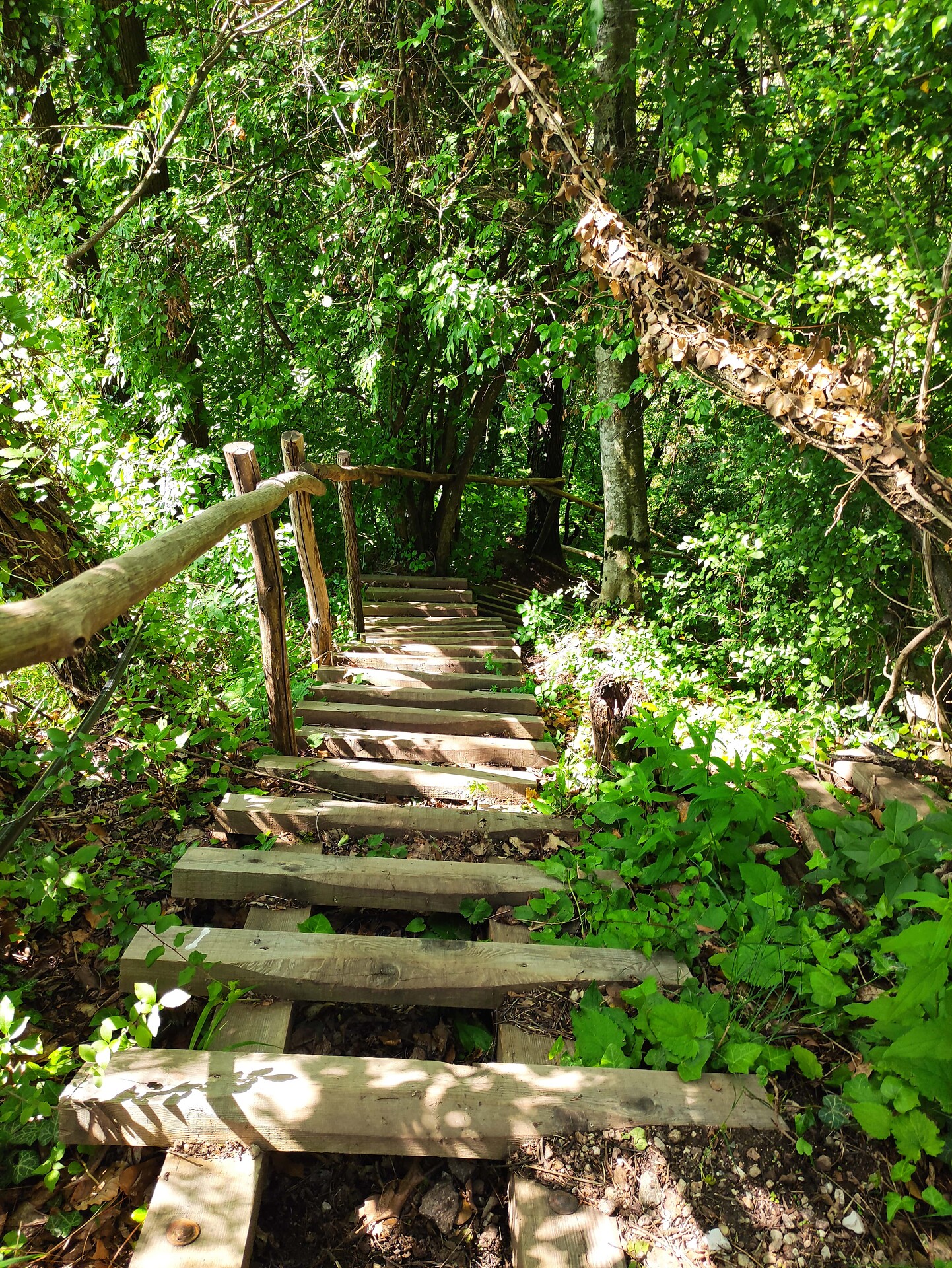 path to Festenstein castle