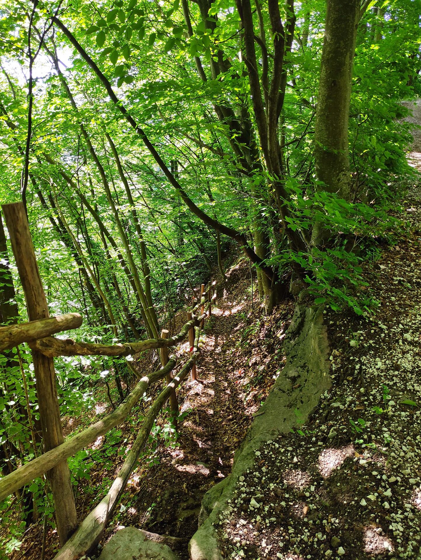 path to Festenstein castle