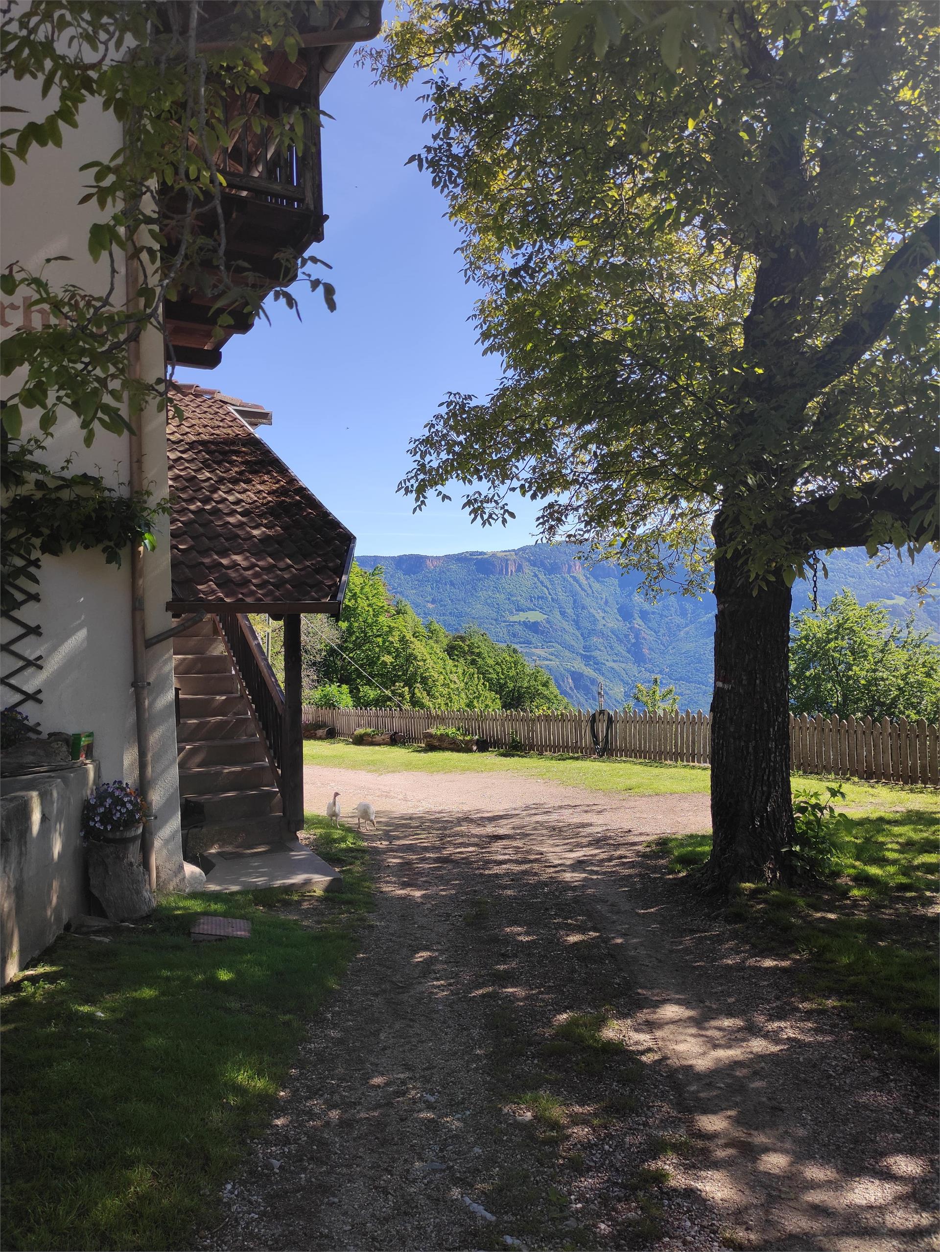 Escursione Gaido Festenstein Gaido Andriano 6 suedtirol.info