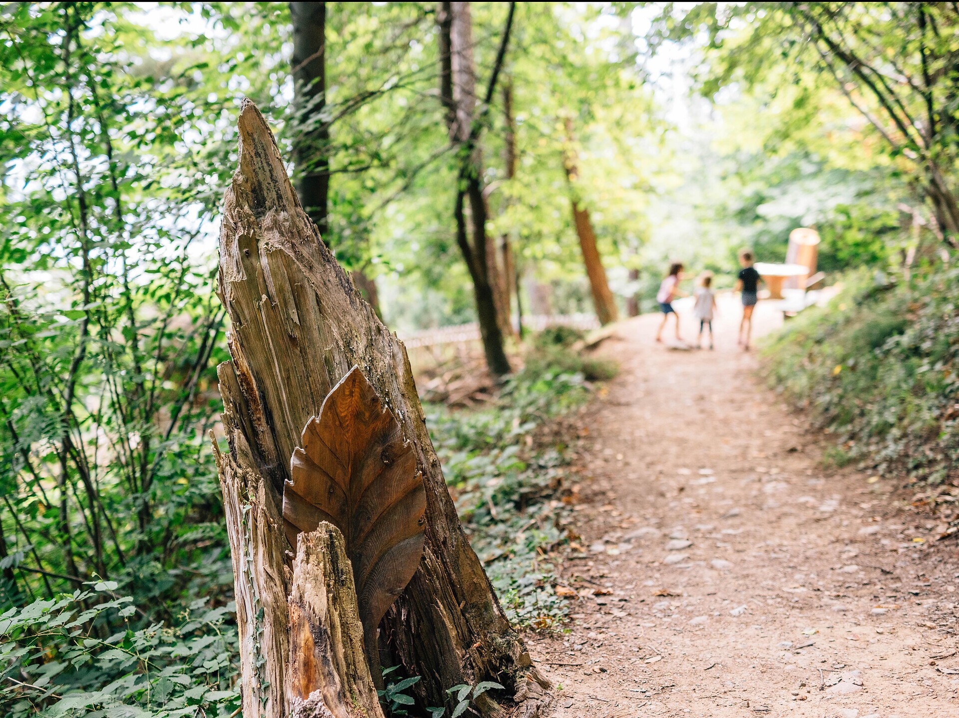 Escursione lungo il Sentiero boschivo - Merano e dintorni - #2 - suedtirol.info