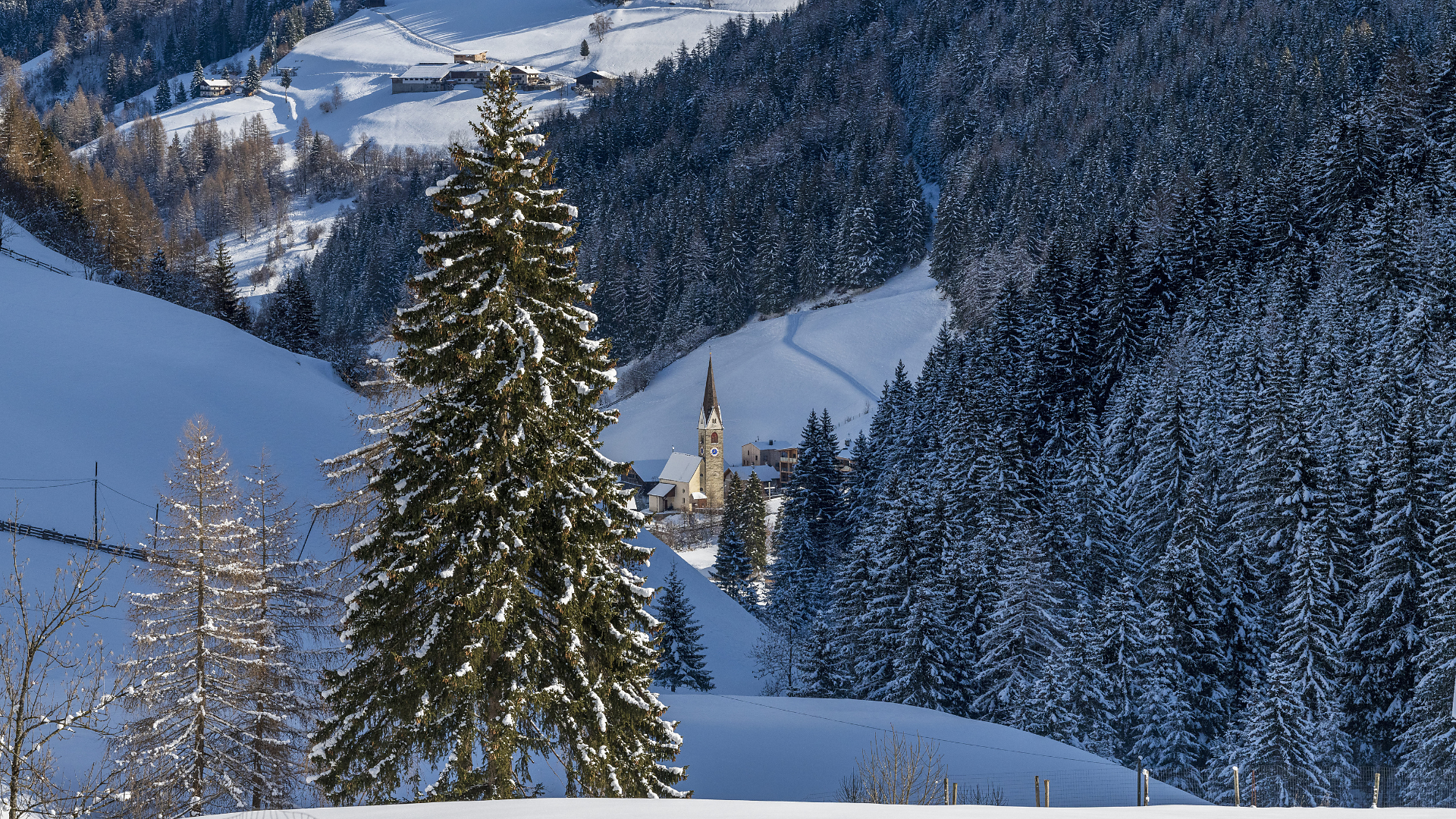 Circular snowshoe hike Mittertal / Val di Mezzo - Obertal / Val di Sopra - Sterzing/Vipiteno and environs - #1 - suedtirol.info