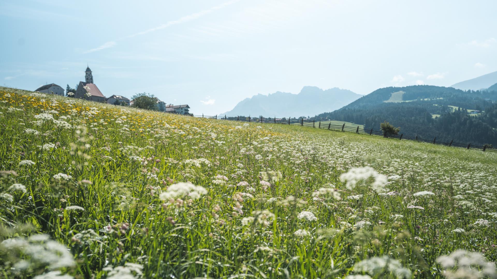escursione a Rotwand-Rotstein  1 suedtirol.info