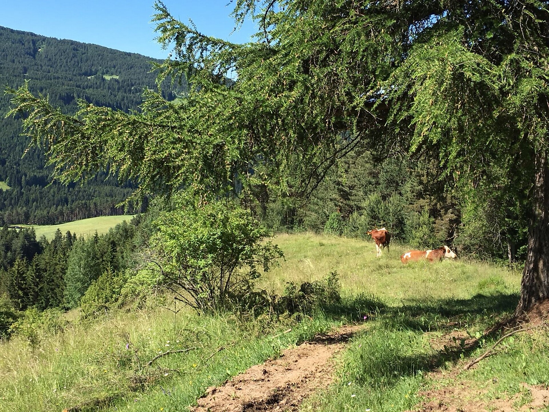 escursione a Rotwand-Rotstein  2 suedtirol.info