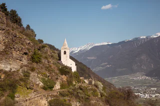 Zaalwaal