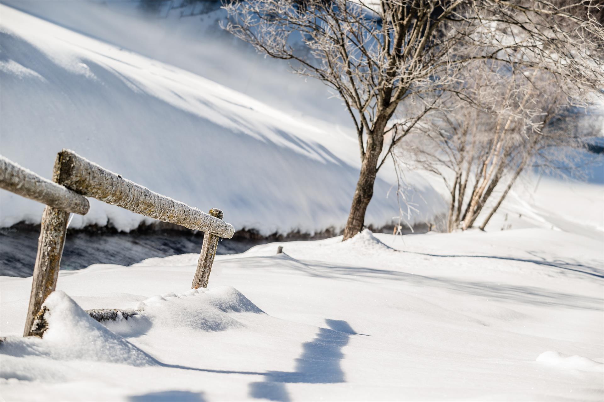 Winterwanderweg nach Stein Brenner 1 suedtirol.info
