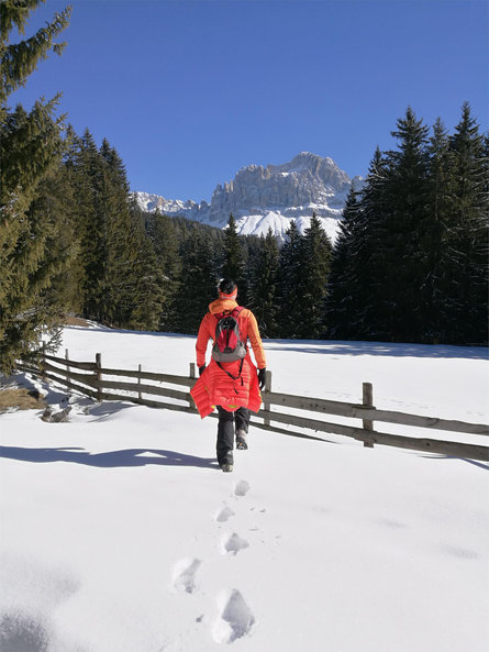 Escursione invernale alla volta del maso Schillerhof Nova Levante 2 suedtirol.info