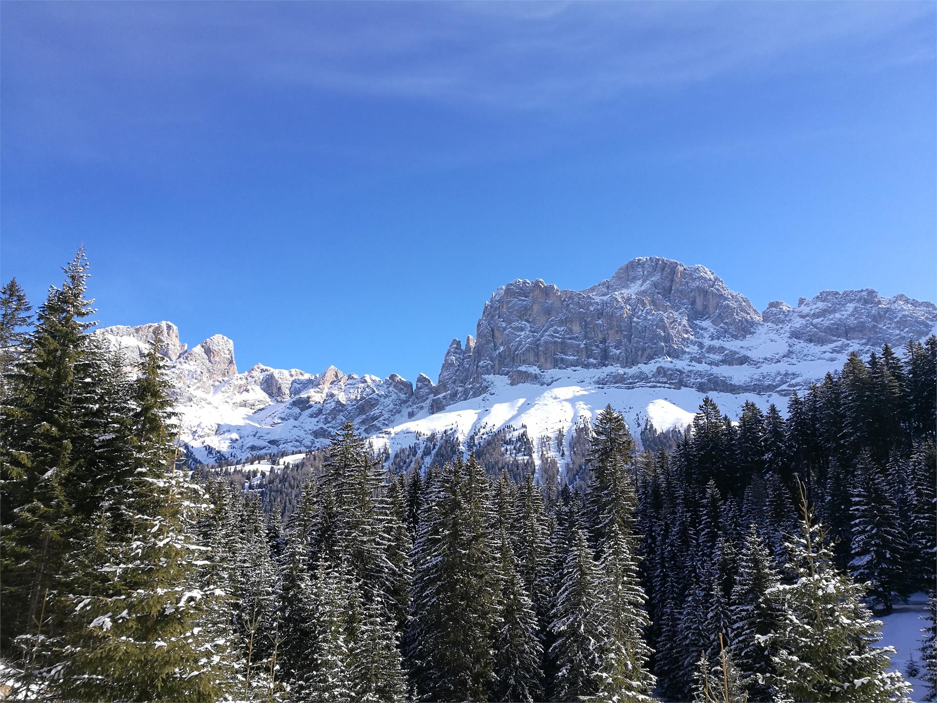 Winterwanderung zum Schillerhof Welschnofen 3 suedtirol.info