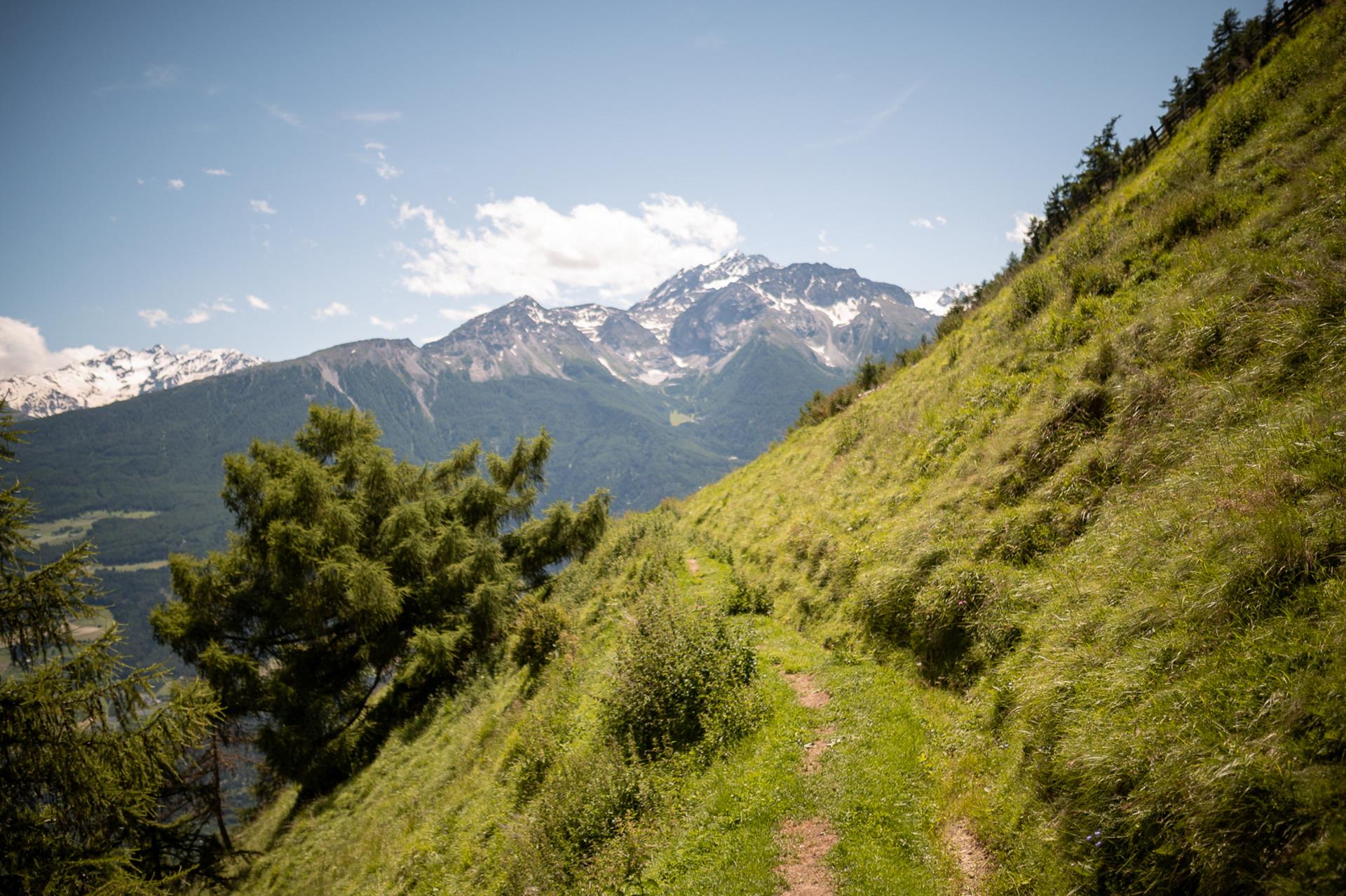 "Neuwaal" irrigation channel path Schlanders/Silandro 1 suedtirol.info