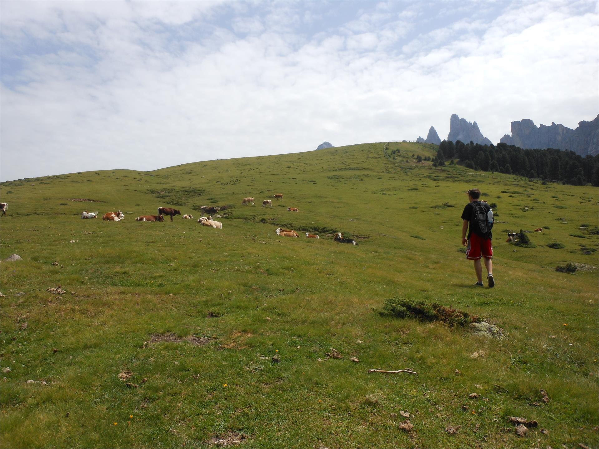 Wanderung zum Broglessattel St.Ulrich 3 suedtirol.info