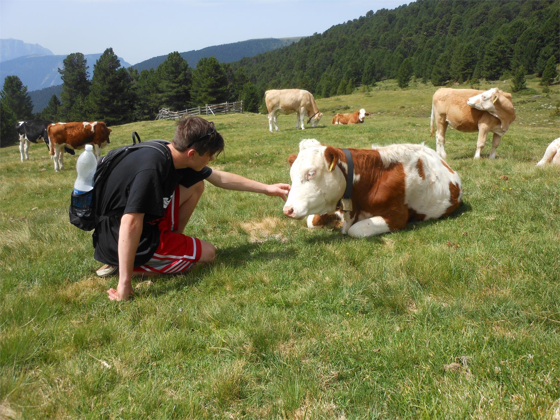 Wanderung zum Broglessattel St.Ulrich 2 suedtirol.info