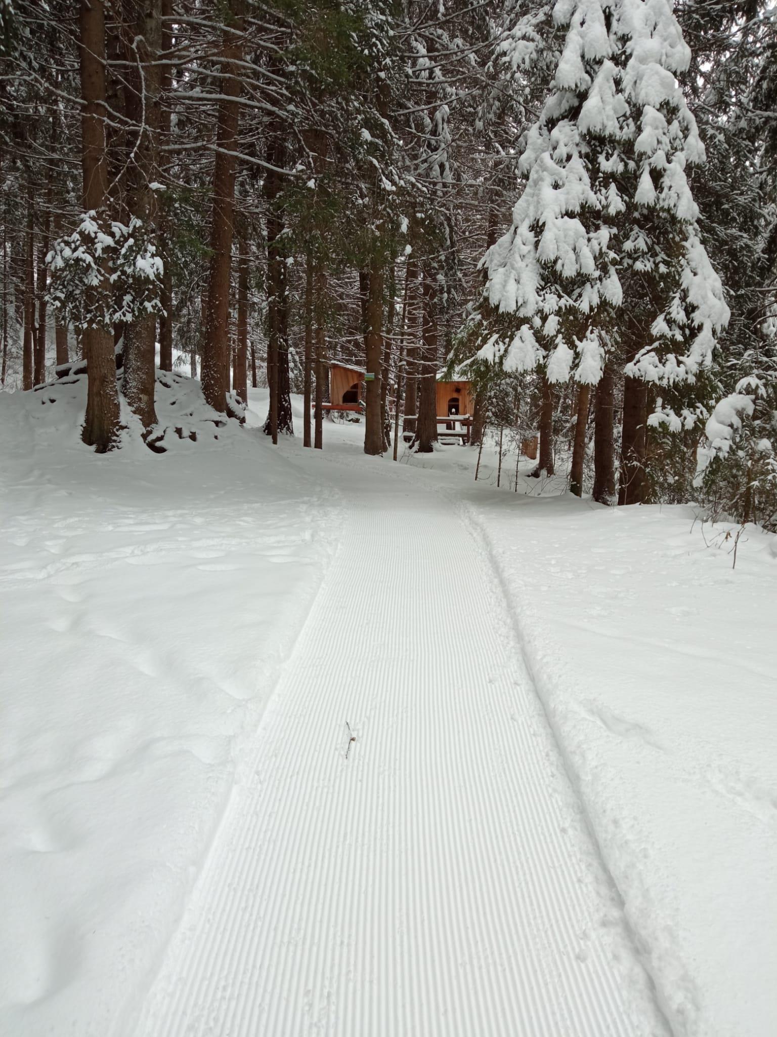 Escursione invernale - Percorso circolare Valdaora di Sopra Valdaora 1 suedtirol.info