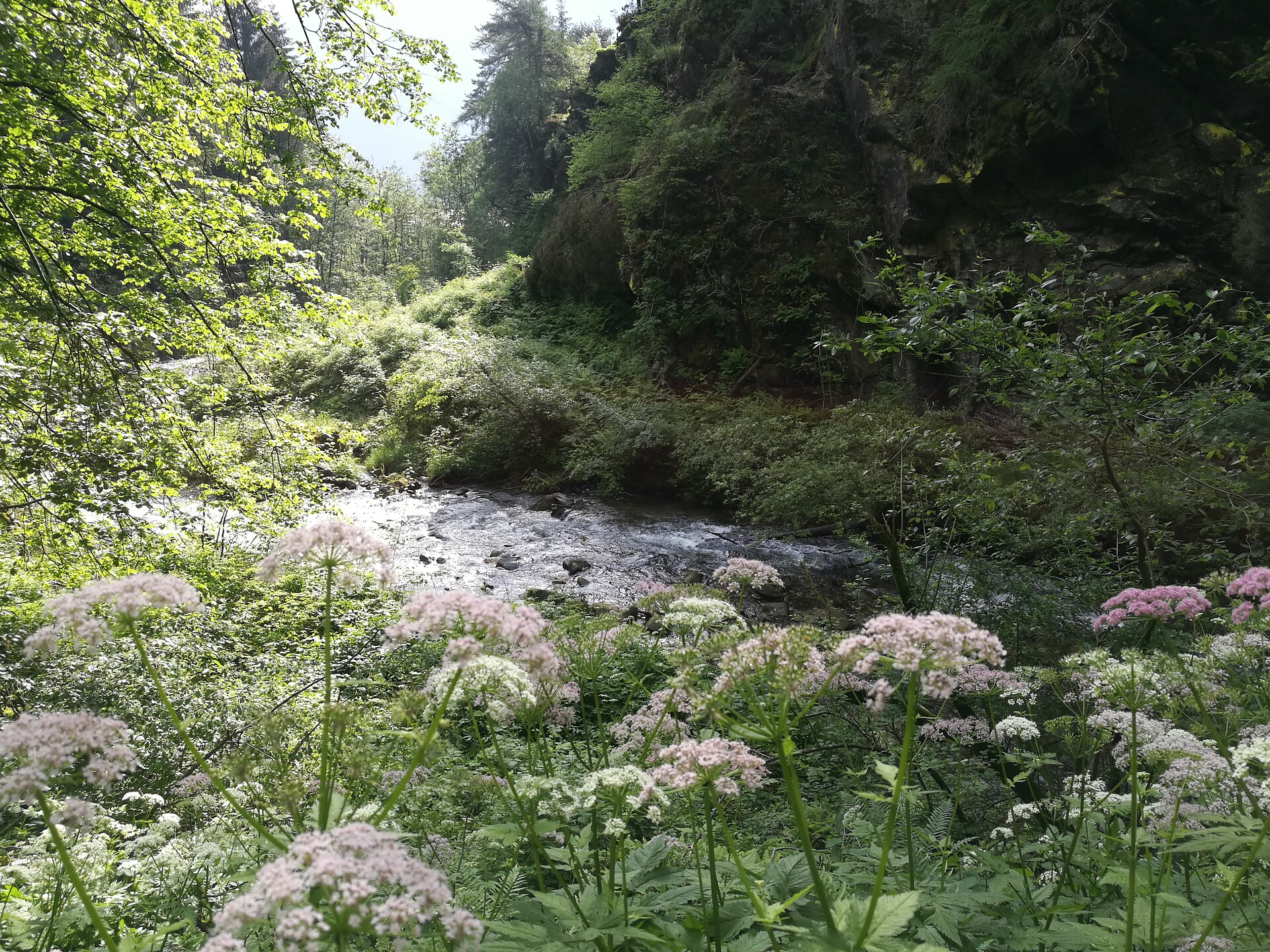 Hiking on the Mühlenklamm - Ahrntal/Valle Aurina - #1 - suedtirol.info