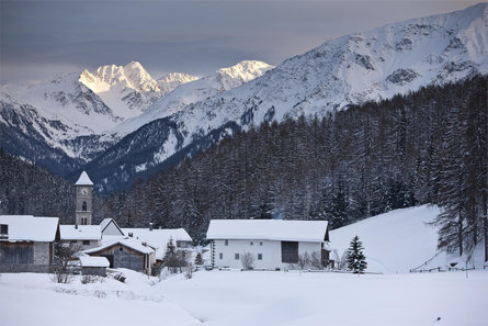 Winter hiking trail Tschierv – Lü – Alp Champatsch - Lü Taufers im Münstertal/Tubre 1 suedtirol.info
