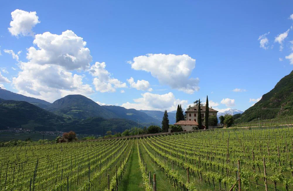 Weinradroute Nord, Wein & Rad: Lagrein und Sauvignon