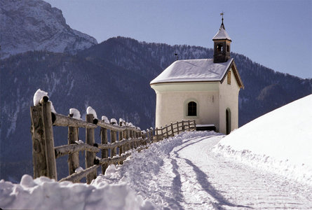 Winterwanderung: Panoramaweg Kandellen Toblach 1 suedtirol.info