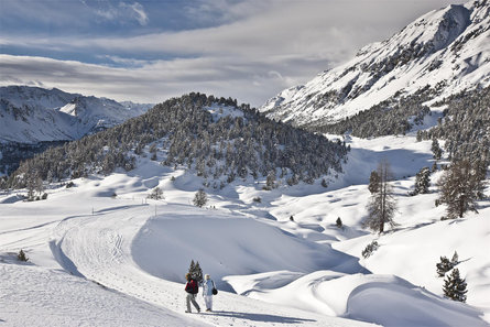 Sentiero invernali 356 Senda Alp da Munt–Alp Champatsch Tubre 1 suedtirol.info