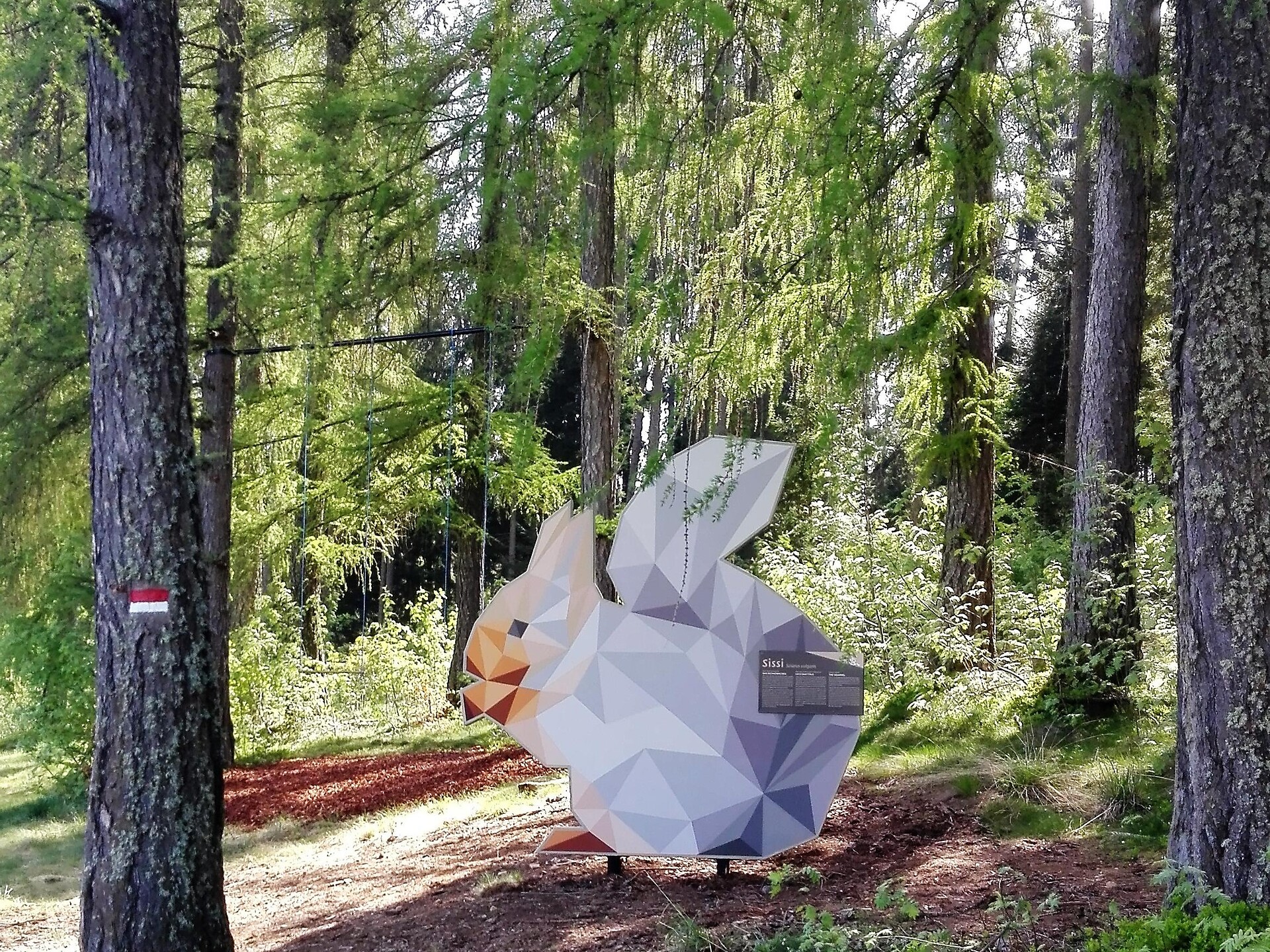 Funival Forest