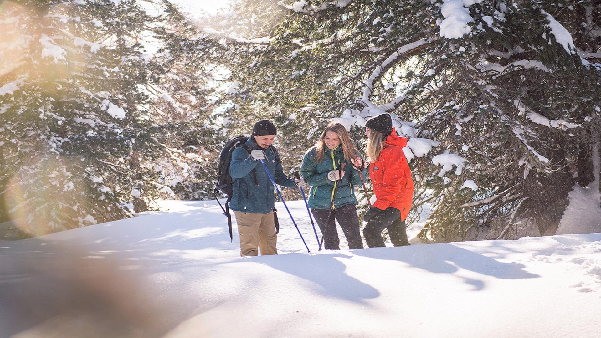 Winter hiking tour - Schmieden/Ferrara Circuit Prags/Braies 1 suedtirol.info