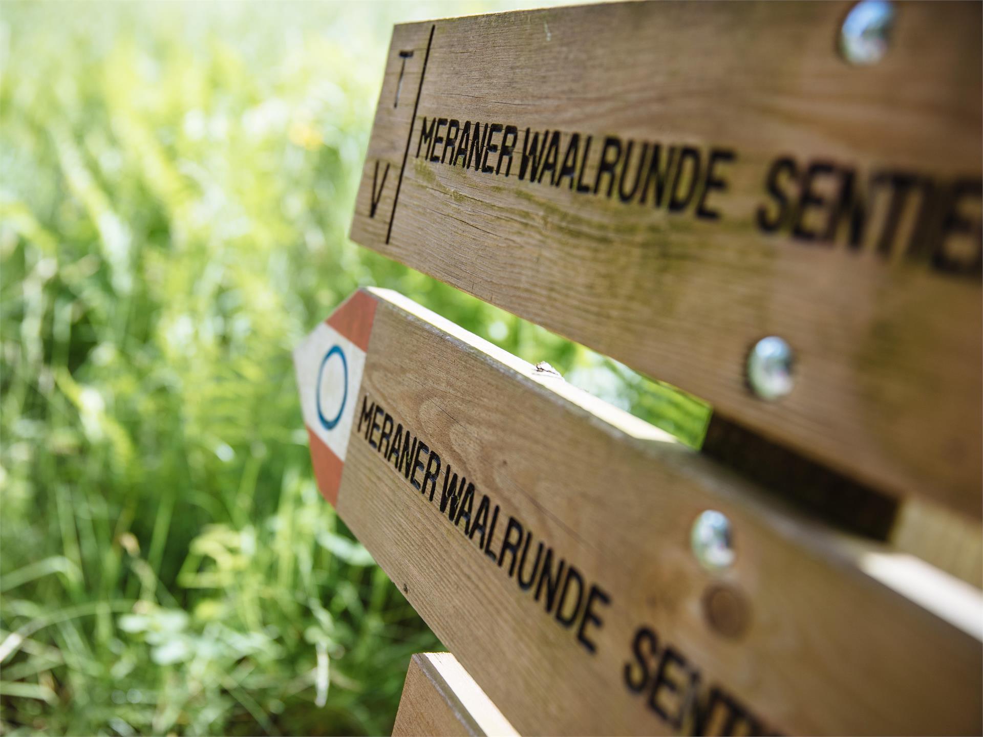 Wanderung Maiser Waalweg St.Martin in Passeier 2 suedtirol.info