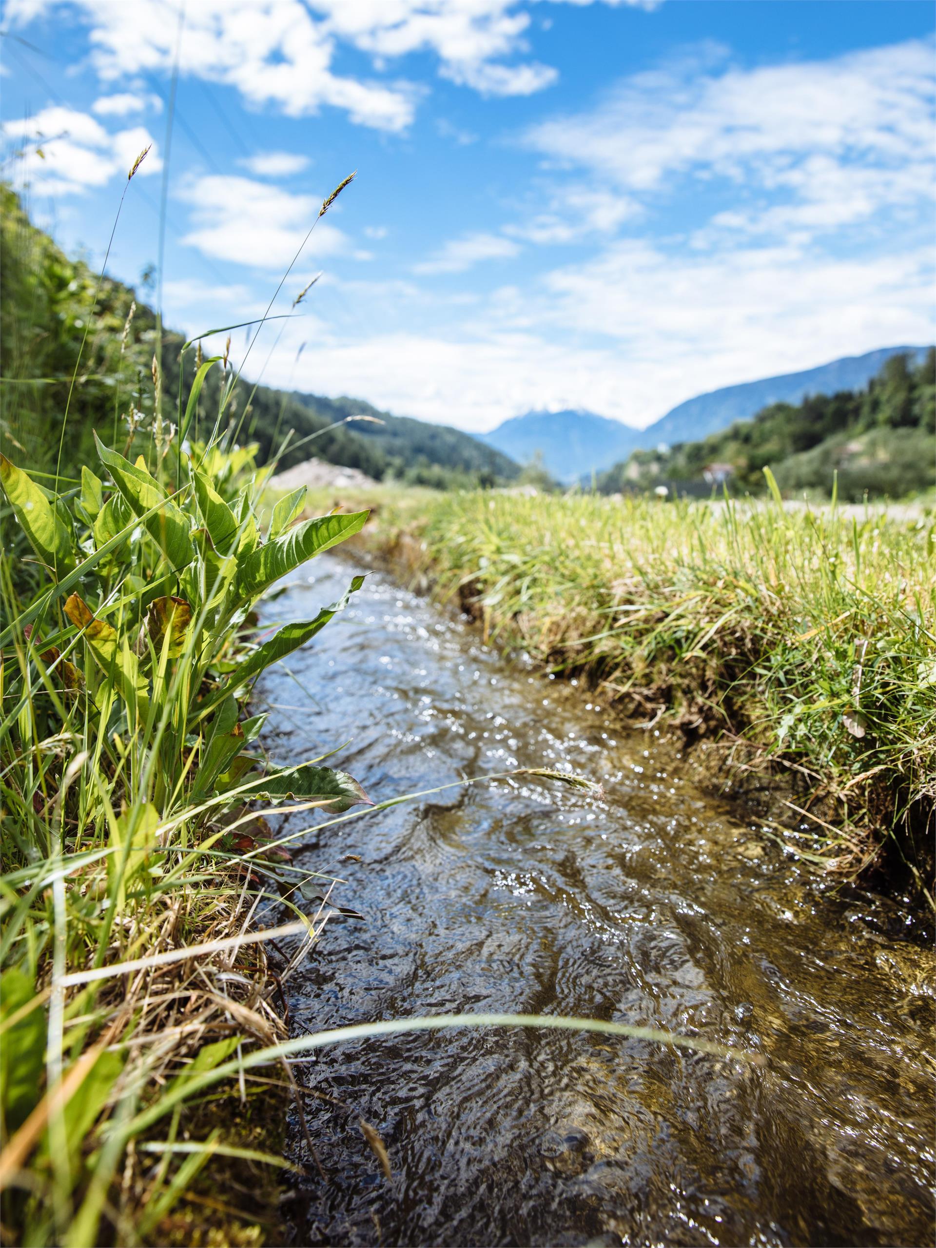 Wanderung Maiser Waalweg St.Martin in Passeier 1 suedtirol.info