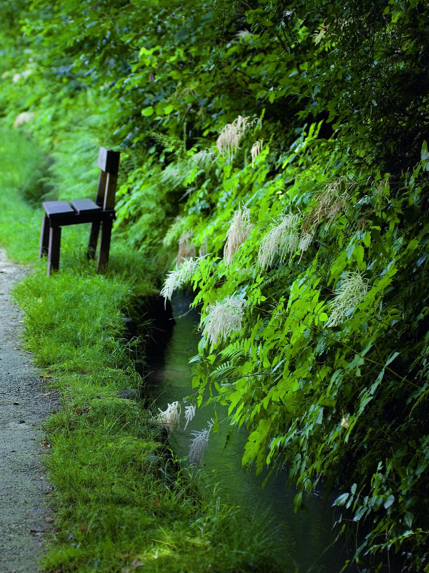 Maiser Waalweg Trail