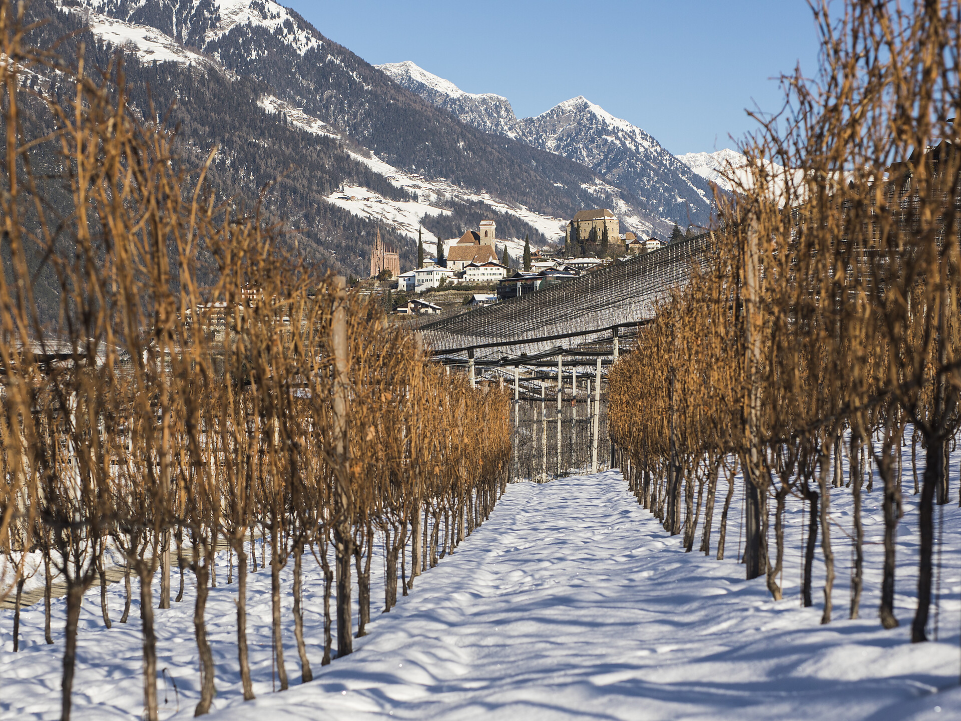 Winterwanderung auf dem Wiesenweg - Meran und Umgebung - #4 - suedtirol.info