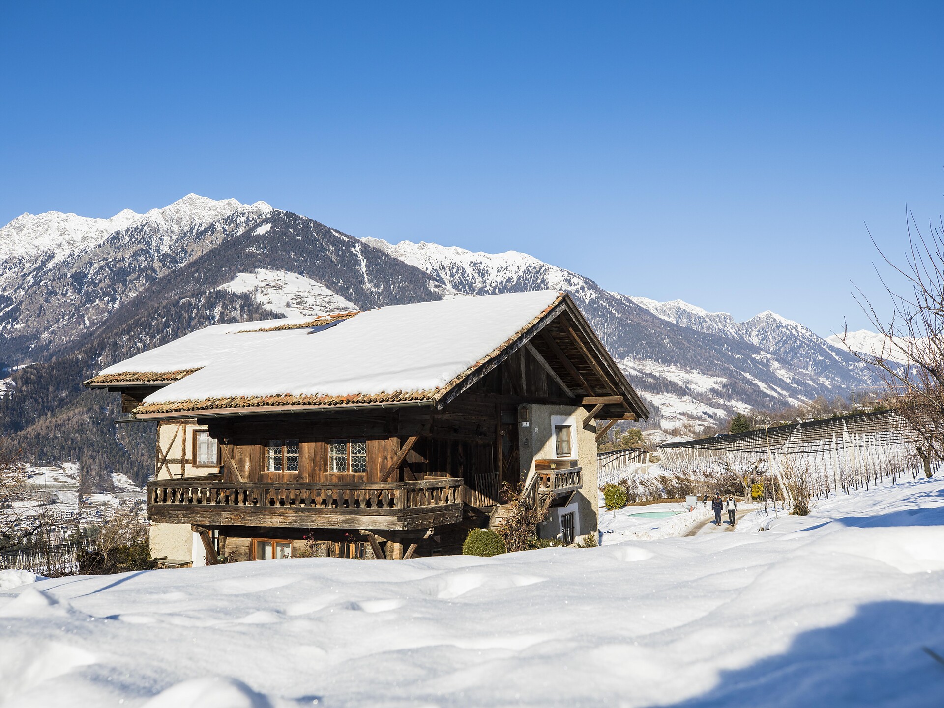 Winterwanderung auf dem Wiesenweg - Meran und Umgebung - #2 - suedtirol.info