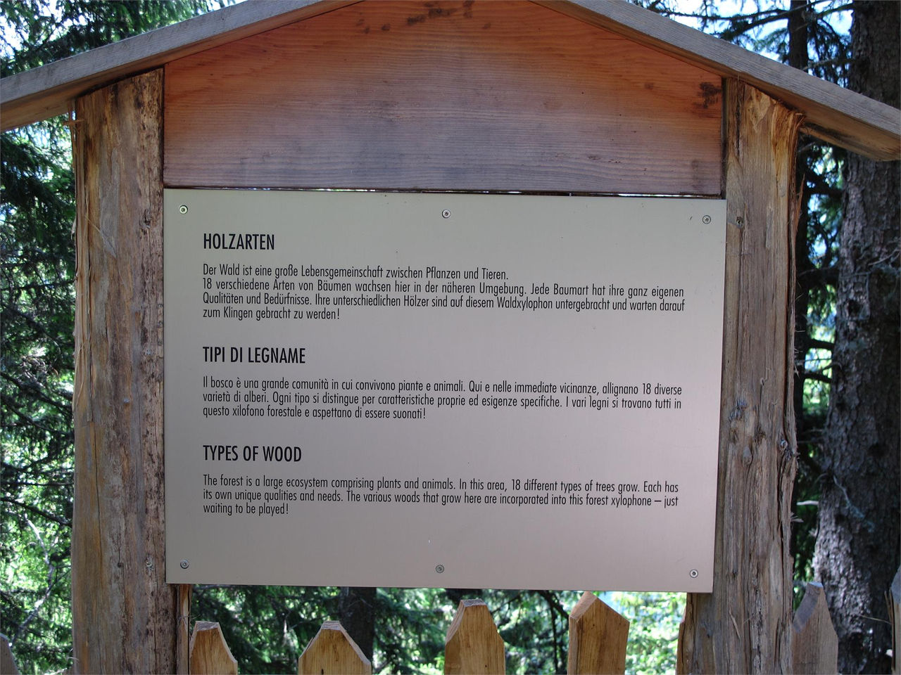 Slide 8