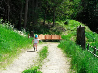 Walderlebnispfad Aschbach – Familienrundwanderung mit Panorama - Algund - #22 - suedtirol.info