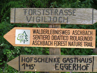 Walderlebnispfad Aschbach – Familienrundwanderung mit Panorama - Algund - #6 - suedtirol.info