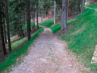 Walderlebnispfad Aschbach – Familienrundwanderung mit Panorama - Algund - #30 - suedtirol.info
