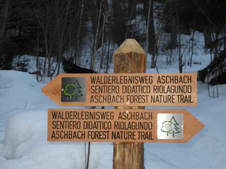 Walderlebnispfad Aschbach – Familienrundwanderung mit Panorama - Algund - #21 - suedtirol.info