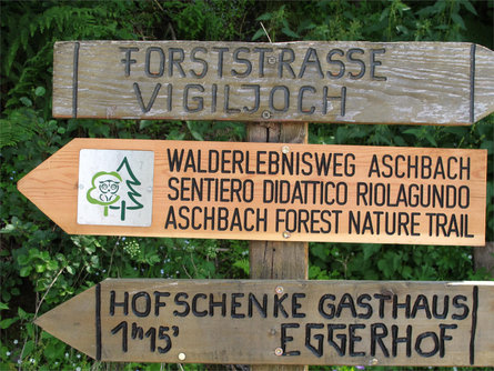 Forest Adventure Trail Aschbach/Rio Lagundo Partschins/Parcines 6 suedtirol.info