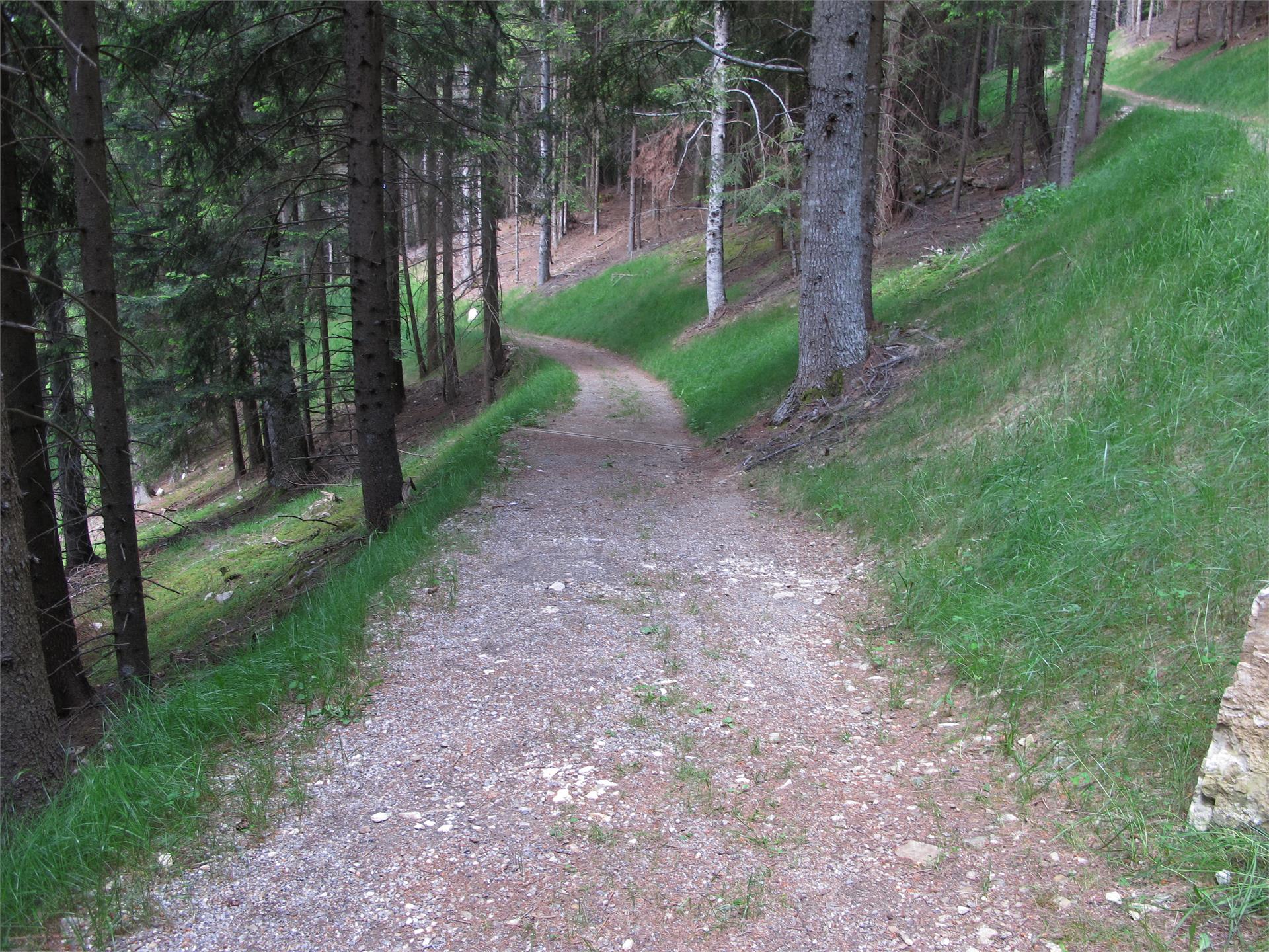 Forest Adventure Trail Aschbach/Rio Lagundo Partschins/Parcines 30 suedtirol.info