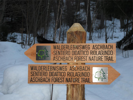 Forest Adventure Trail Aschbach/Rio Lagundo Partschins/Parcines 21 suedtirol.info