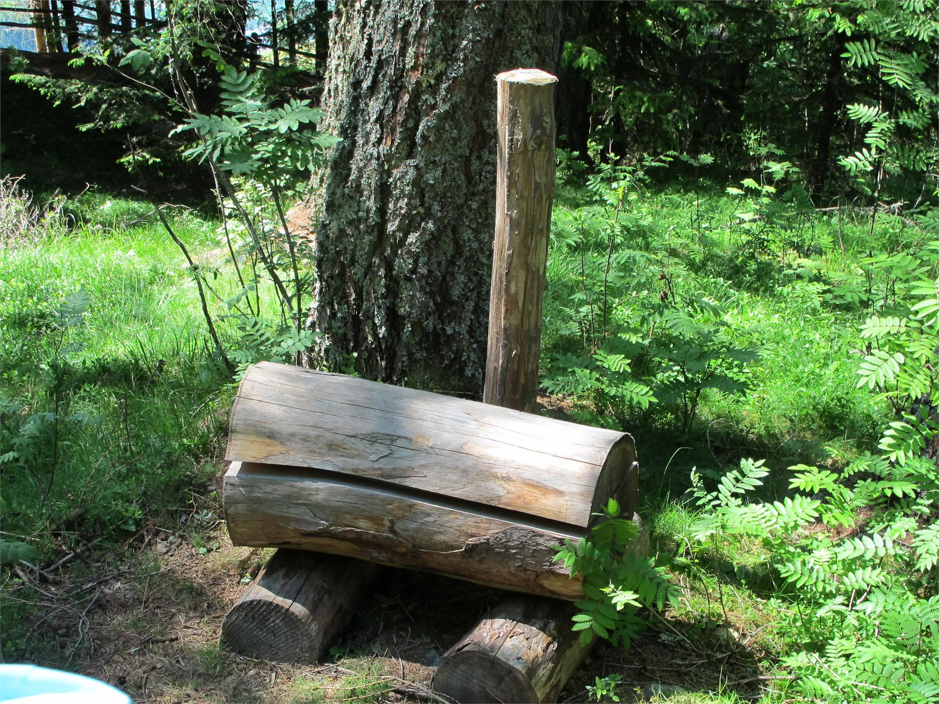 Forest Adventure Trail Aschbach/Rio Lagundo Partschins/Parcines 18 suedtirol.info
