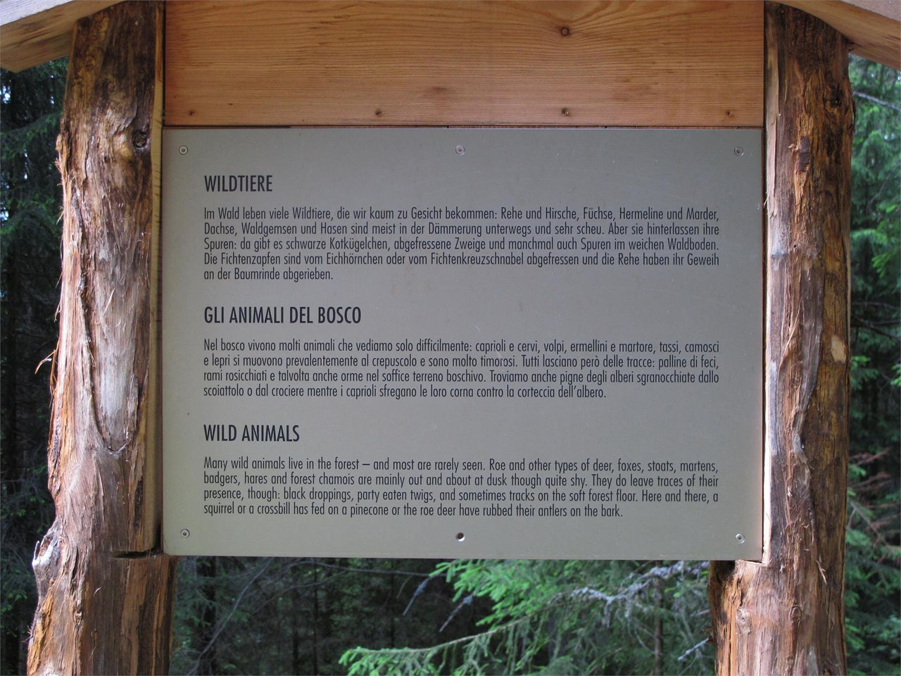 Slide 28