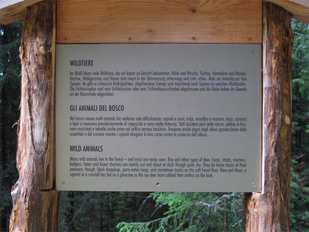 Forest Adventure Trail Aschbach/Rio Lagundo Partschins/Parcines 28 suedtirol.info
