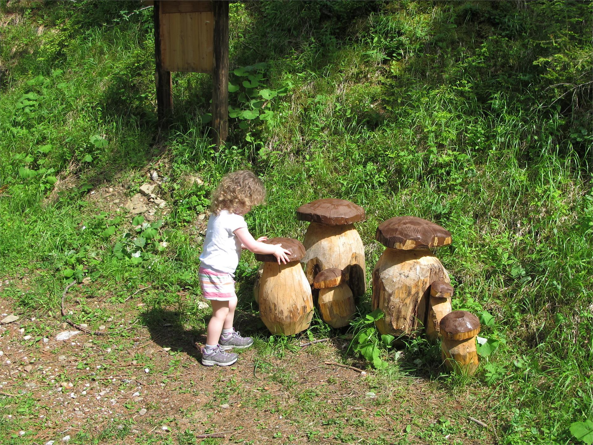 Forest Adventure Trail Aschbach/Rio Lagundo Partschins/Parcines 26 suedtirol.info
