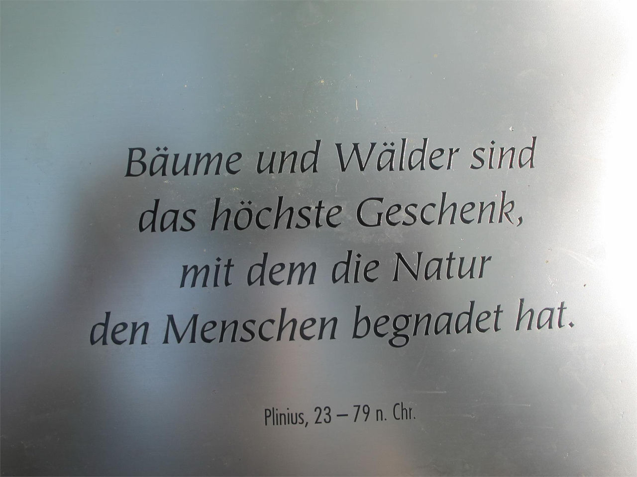 Slide 13